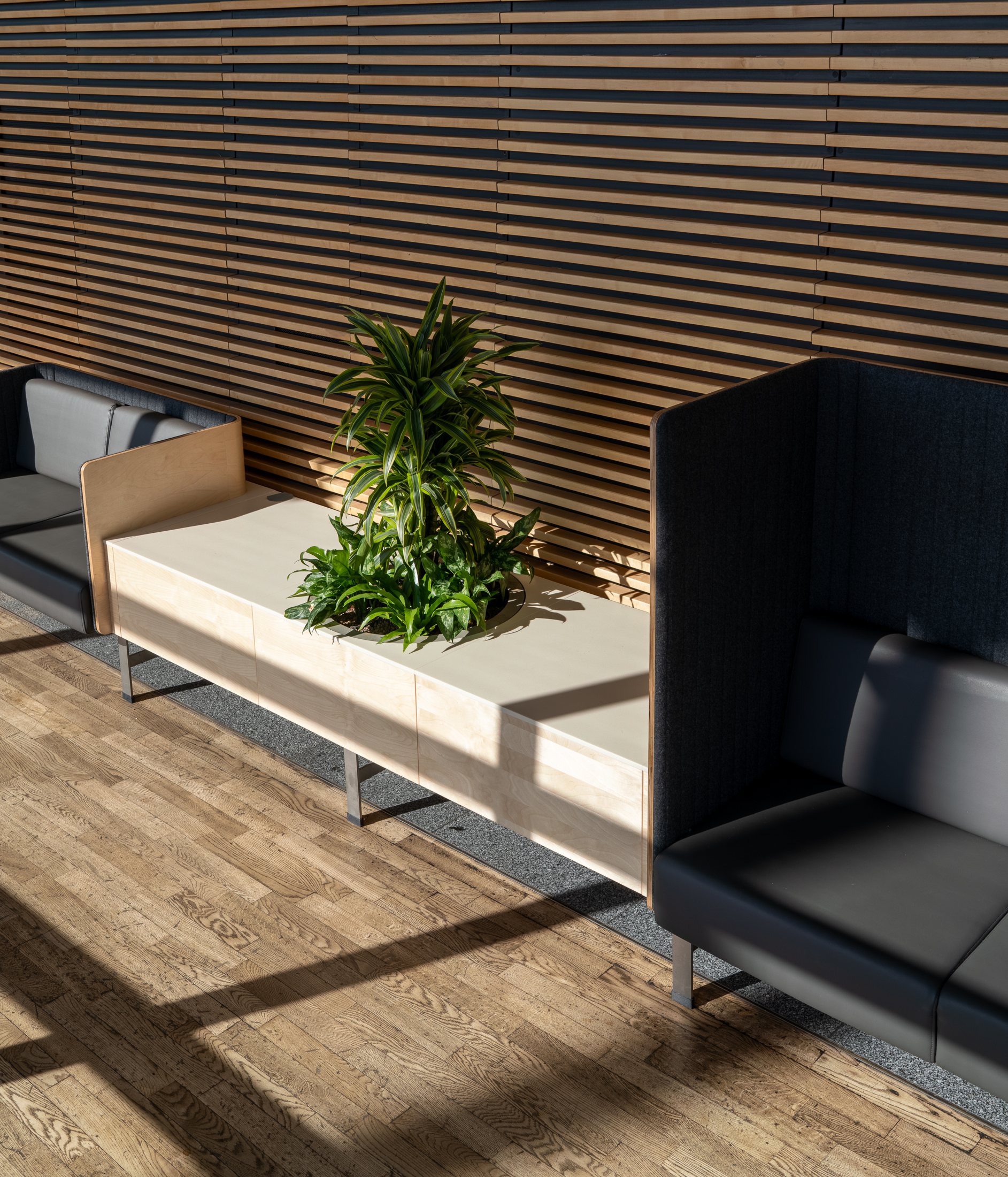 Bent plywood, stone surface and an integrated planter